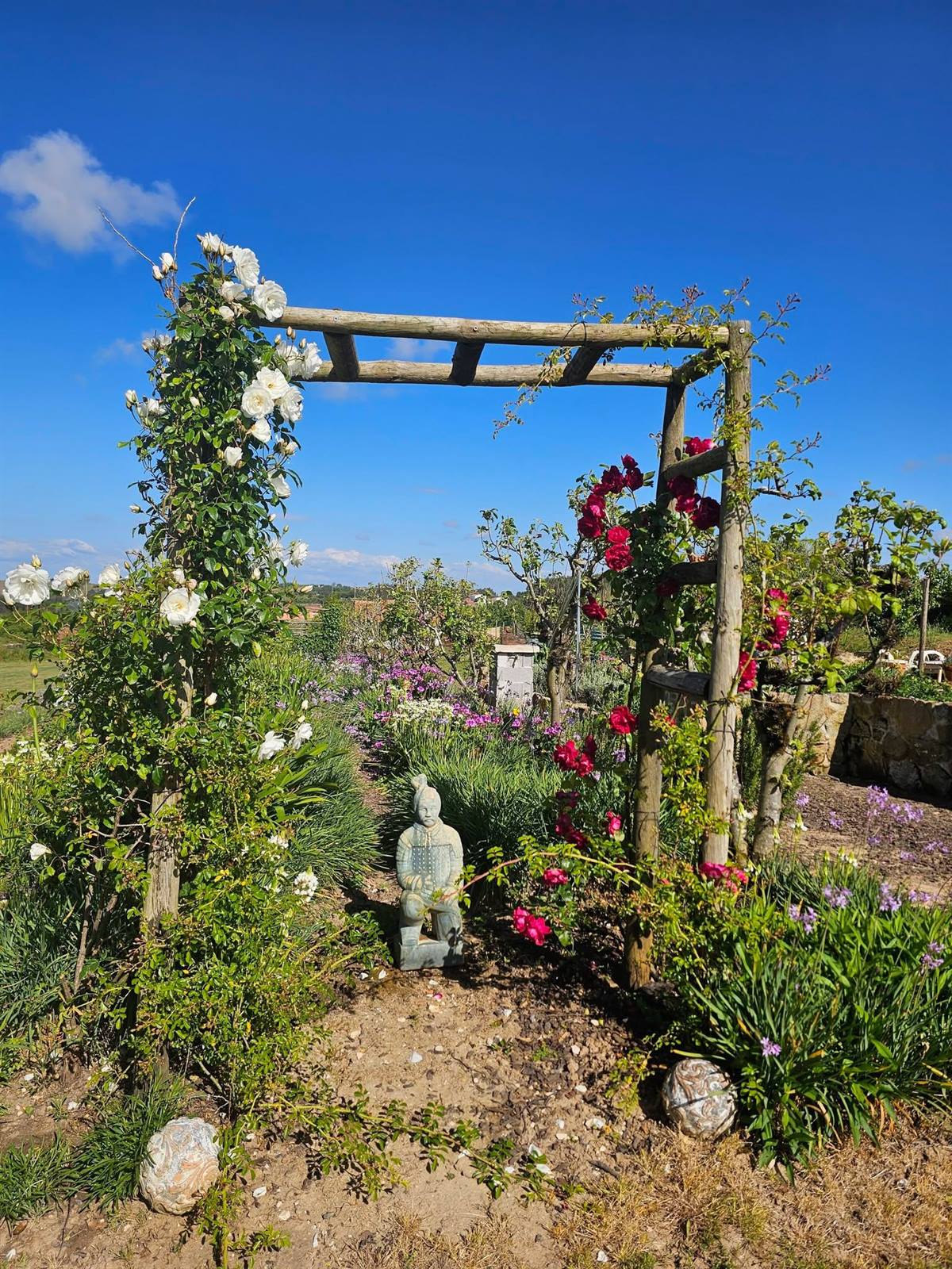 A wooden rose-arch pergola with white and red climbers framing a planted bed with a sculptural focal point, in a Silver Coast garden designed by Ana Sterrenberg