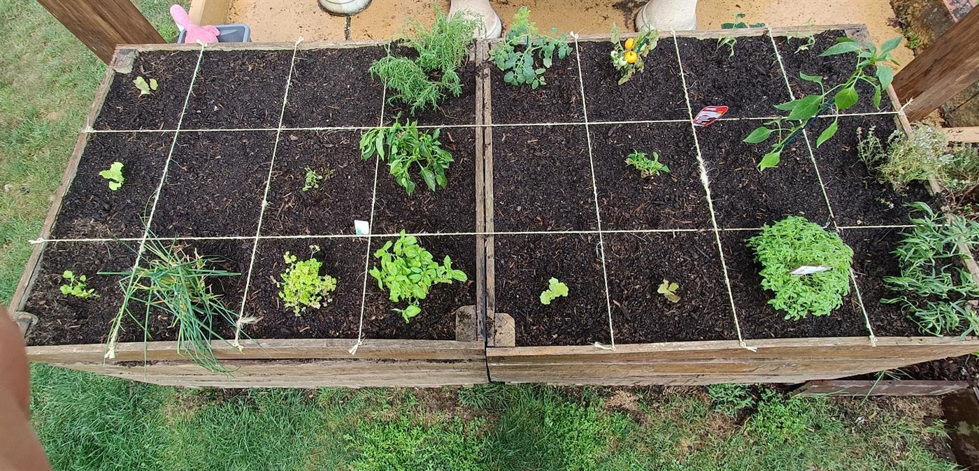 A top-down view of a raised kitchen-garden bed with rope-grid sections, planted with lettuce, tomatoes, herbs and onions, designed by Debbie Sterrenberg