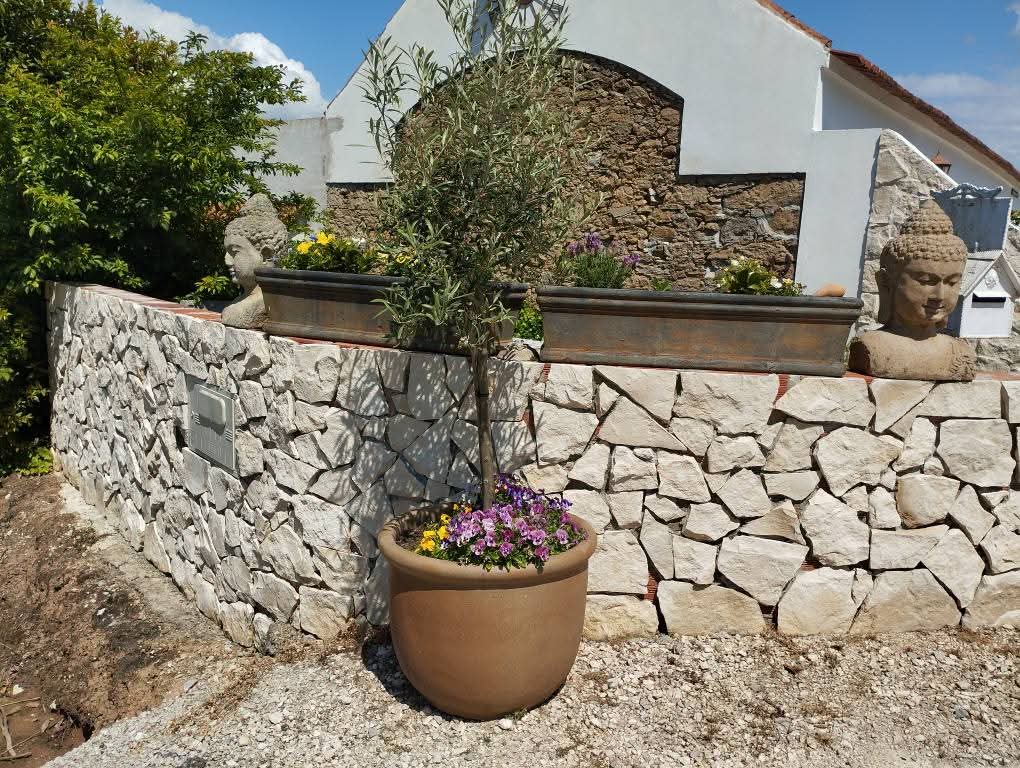 Finished hand-laid natural stone retaining wall with built-in planters and olive tree at a Silver Coast farmhouse